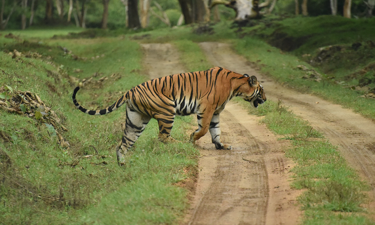 Photography by Samrat