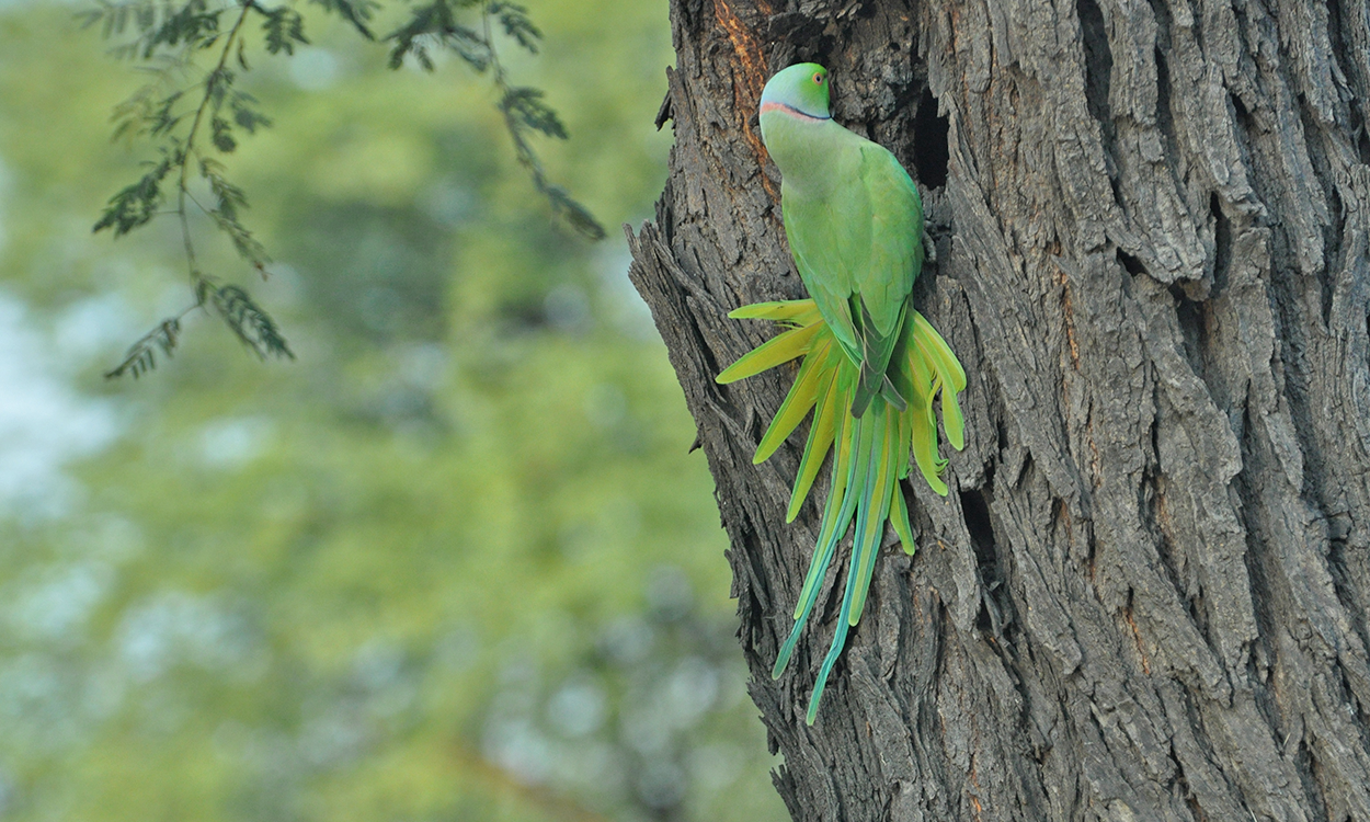 Photography by Samrat